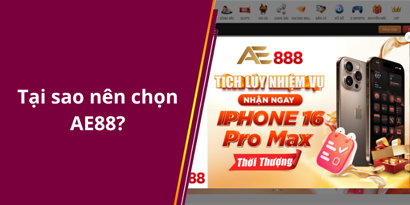 Tại sao nên chọn AE88