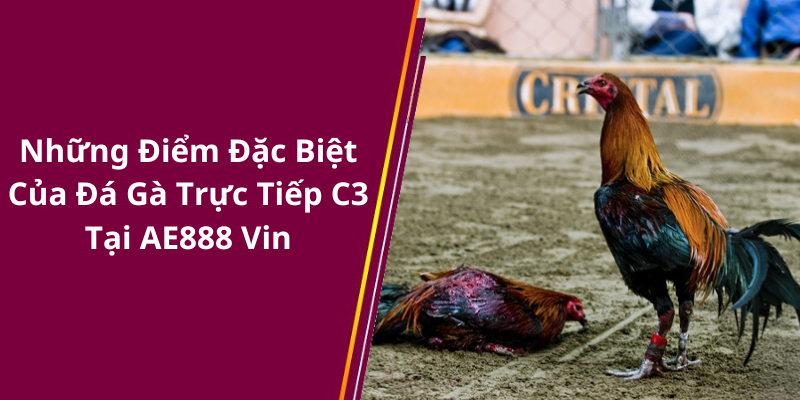 Những Điểm Đặc Biệt Của Đá Gà Trực Tiếp C3 Tại AE888 Vin