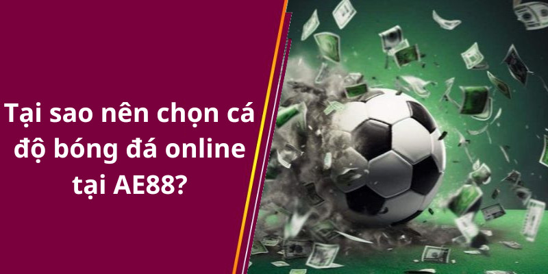 Tại sao nên chọn cá độ bóng đá online tại AE88