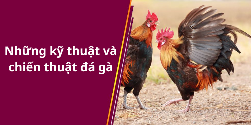 Những kỹ thuật và chiến thuật đá gà